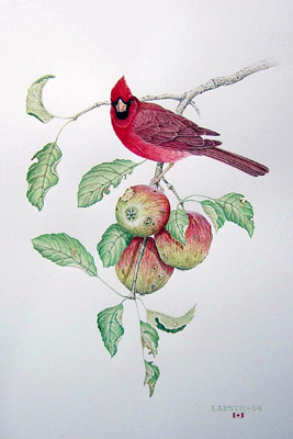 "Cardinals with Wild Apples"