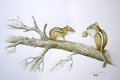 "Mentoring Mother-Eastern Chipmunks"