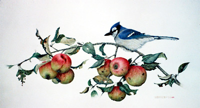 "Blue Jay and Wild Apples"