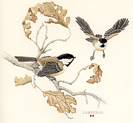 "Autumn Oaks - Black-capped Chickadees"