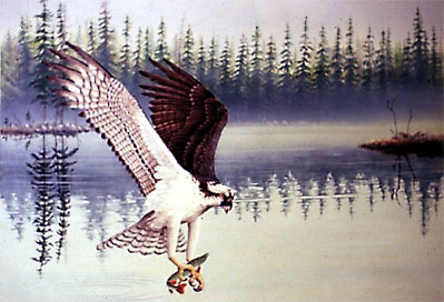 "Misty Morning - Osprey"